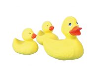 Badeend familie