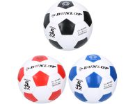 Voetbal Dunlop 5